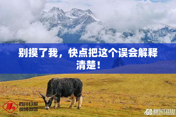 别摸了我，快点把这个误会解释清楚！