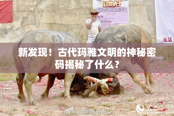 新发现！古代玛雅文明的神秘密码揭秘了什么？