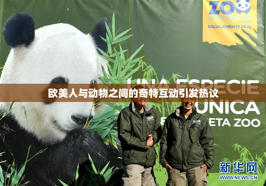 欧美人与动物之间的奇特互动引发热议