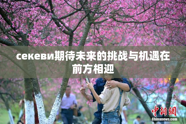 ceкеви期待未来的挑战与机遇在前方相迎