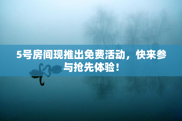5号房间现推出免费活动，快来参与抢先体验！