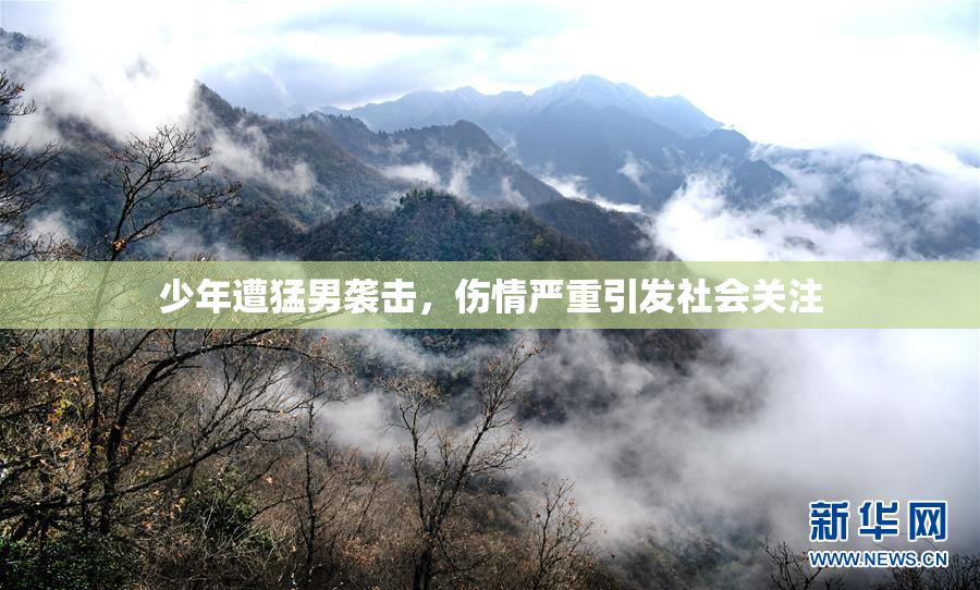 少年遭猛男袭击，伤情严重引发社会关注