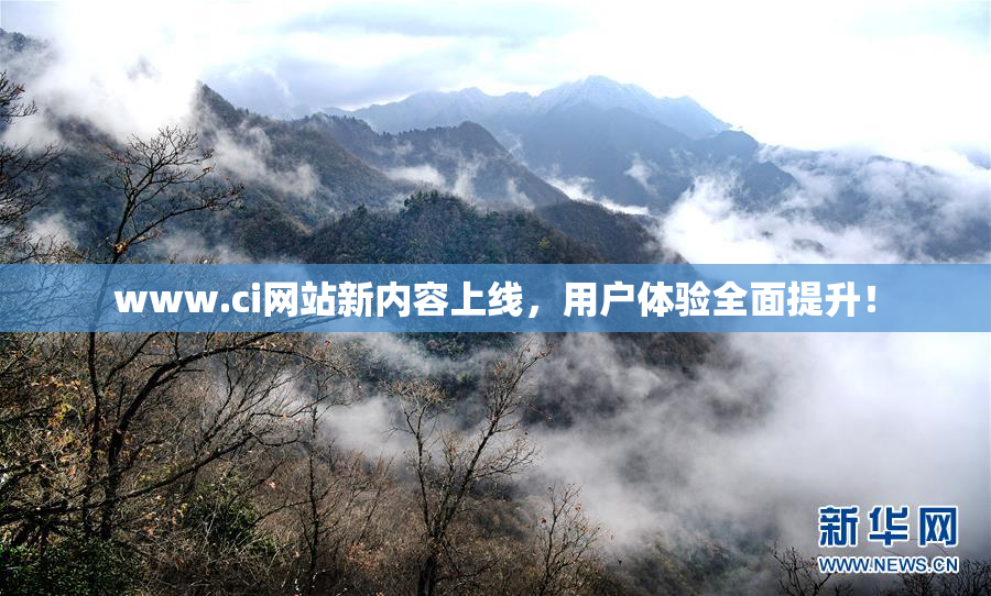 www.ci网站新内容上线，用户体验全面提升！