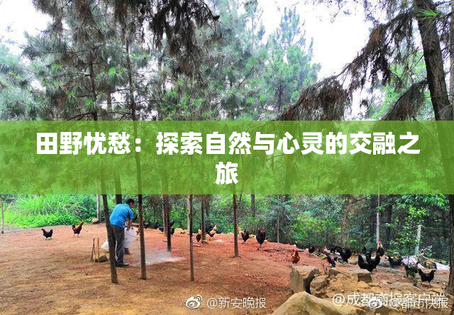 田野忧愁：探索自然与心灵的交融之旅