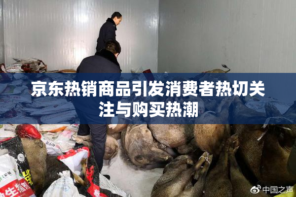 京东热销商品引发消费者热切关注与购买热潮