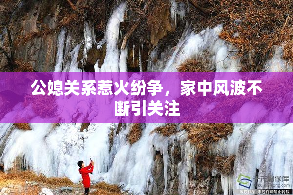 公媳关系惹火纷争，家中风波不断引关注