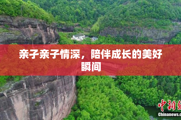 亲孑亲子情深，陪伴成长的美好瞬间