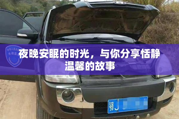 夜晚安眠的时光，与你分享恬静温馨的故事