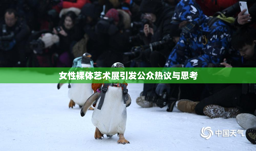 女性裸体艺术展引发公众热议与思考