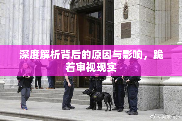 深度解析背后的原因与影响，跪着审视现实