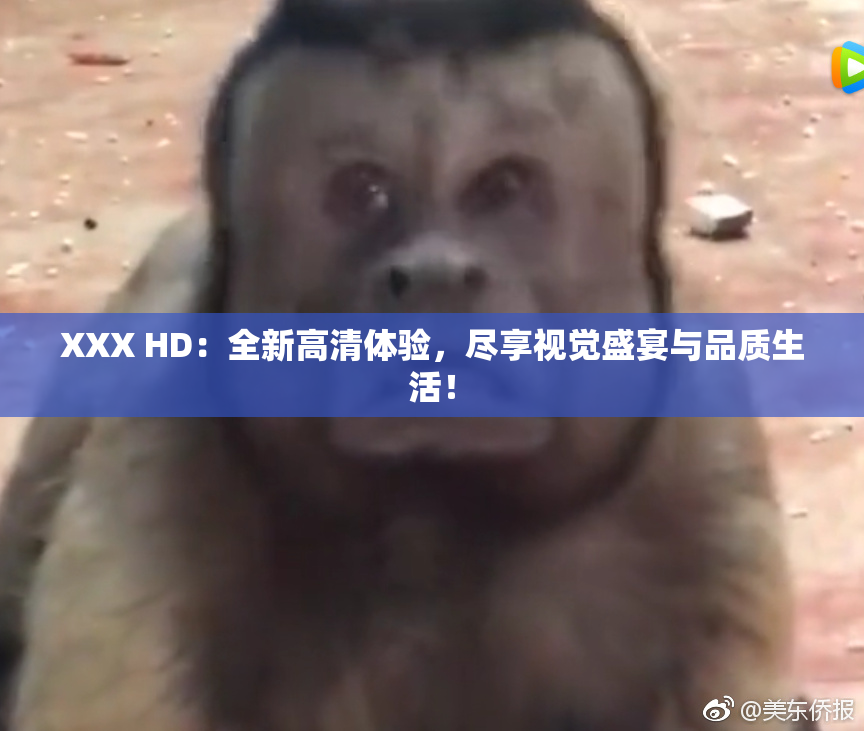 XXX HD：全新高清体验，尽享视觉盛宴与品质生活！