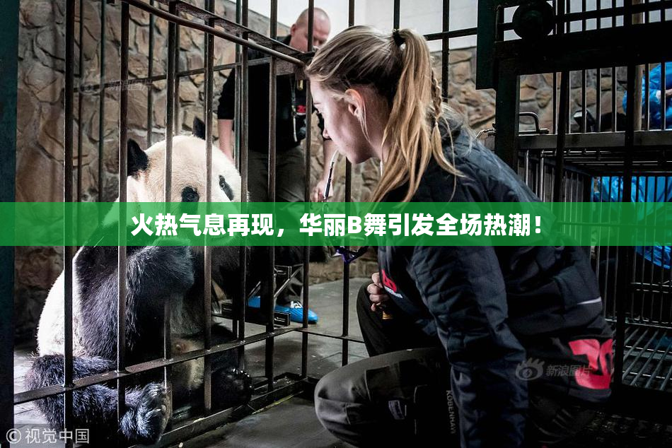 火热气息再现，华丽B舞引发全场热潮！
