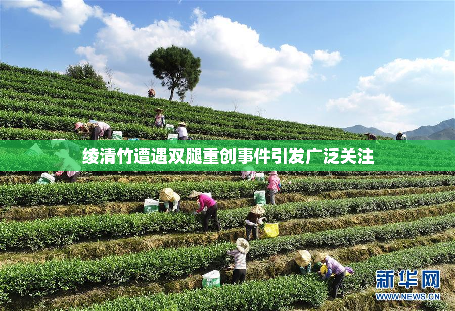 绫清竹遭遇双腿重创事件引发广泛关注