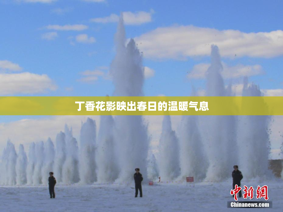 丁香花影映出春日的温暖气息