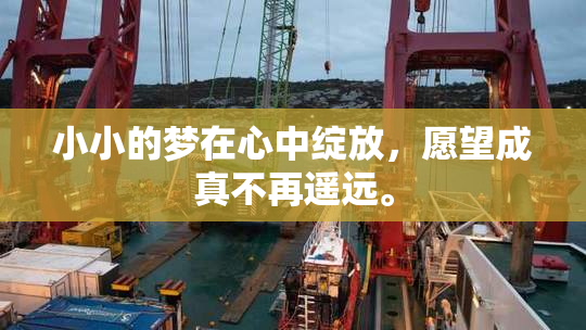 小小的梦在心中绽放，愿望成真不再遥远。