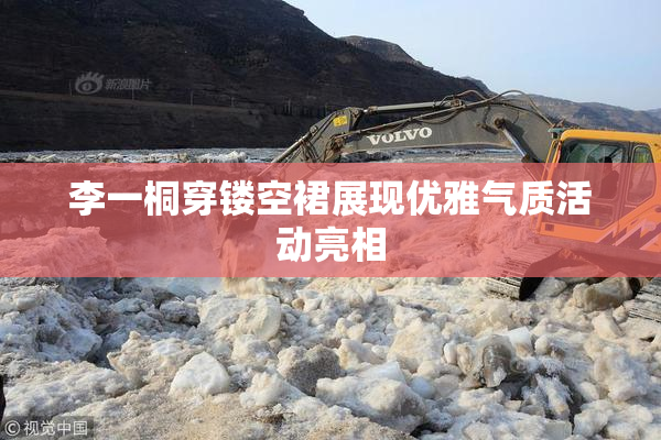 李一桐穿镂空裙展现优雅气质活动亮相