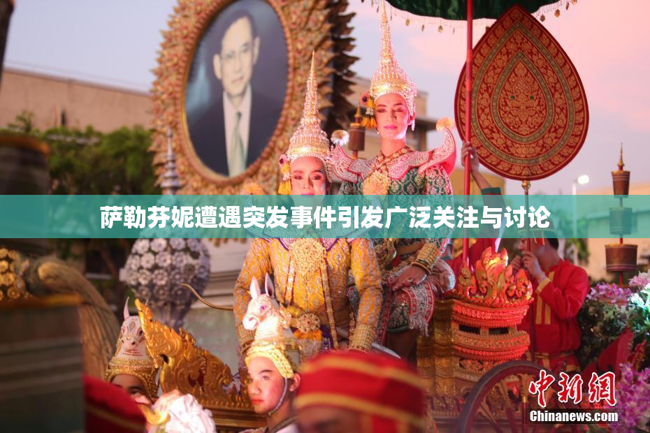 萨勒芬妮遭遇突发事件引发广泛关注与讨论