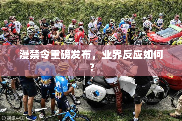 漫禁令重磅发布，业界反应如何？