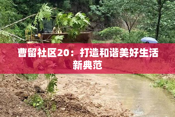 曹留社区20：打造和谐美好生活新典范
