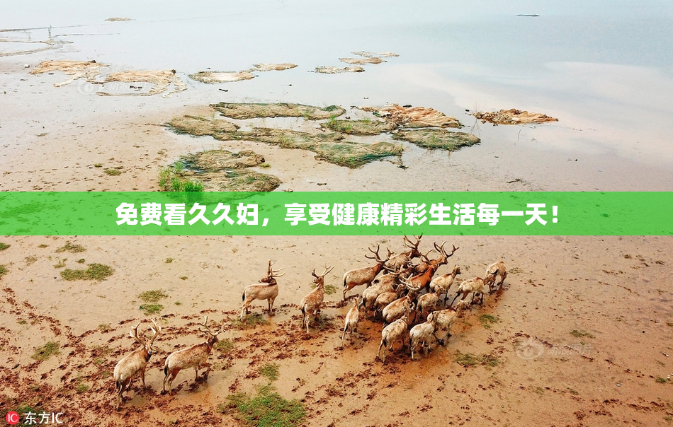 免费看久久妇，享受健康精彩生活每一天！