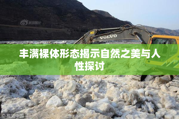 丰满裸体形态揭示自然之美与人性探讨