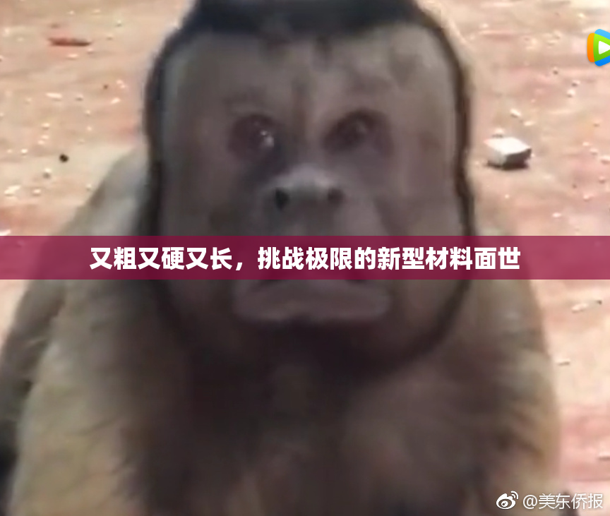 又粗又硬又长，挑战极限的新型材料面世