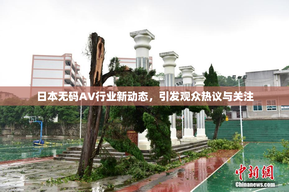 日本无码AV行业新动态，引发观众热议与关注