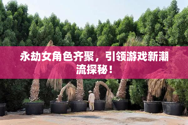 永劫女角色齐聚，引领游戏新潮流探秘！