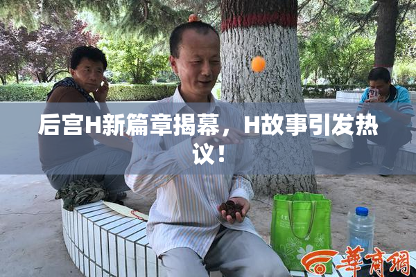 后宫H新篇章揭幕，H故事引发热议！