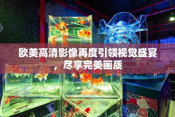 欧美高清影像再度引领视觉盛宴，尽享完美画质
