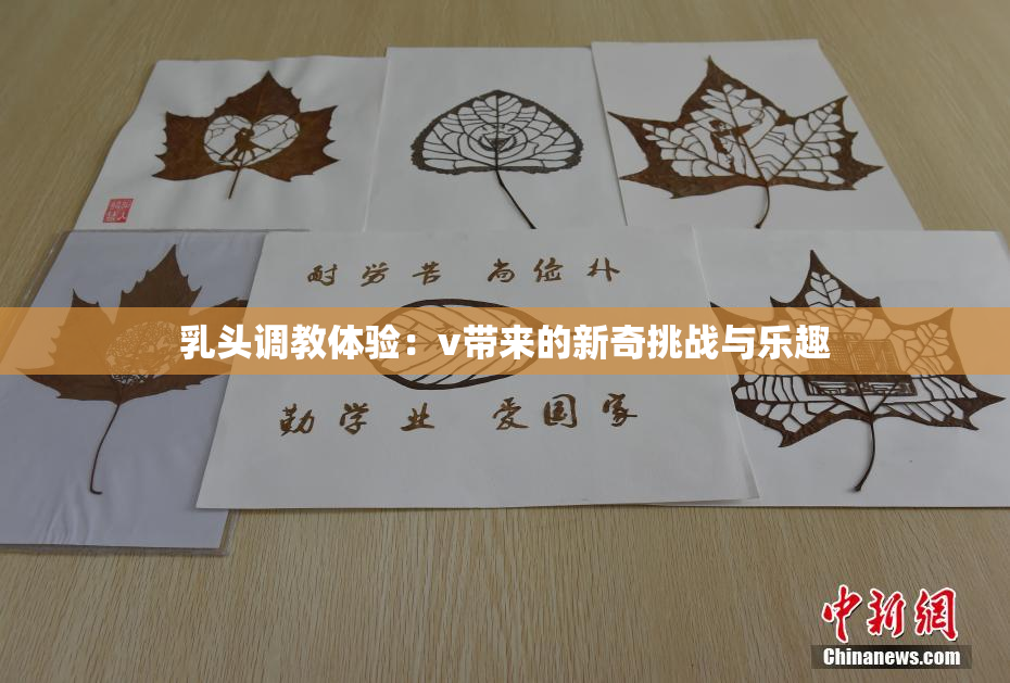 乳头调教体验：v带来的新奇挑战与乐趣