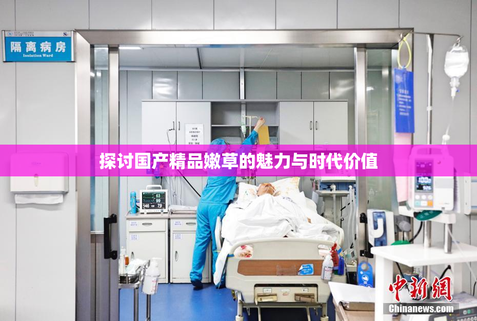 探讨国产精品嫩草的魅力与时代价值