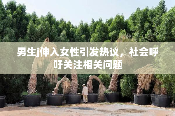 男生j伸入女性引发热议，社会呼吁关注相关问题