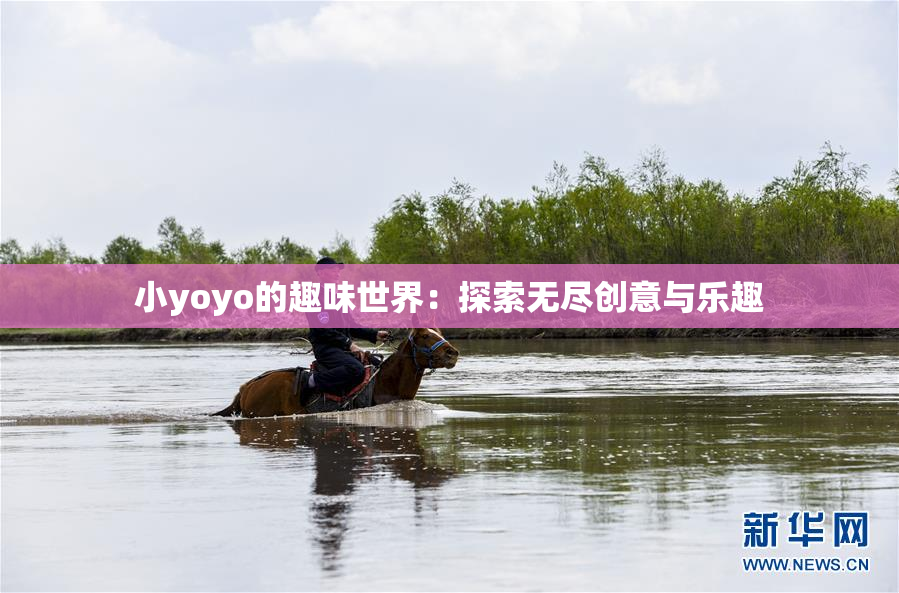 小yoyo的趣味世界：探索无尽创意与乐趣