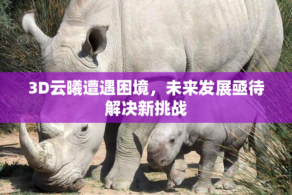 3D云曦遭遇困境，未来发展亟待解决新挑战