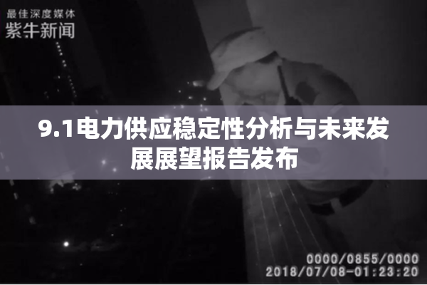 9.1电力供应稳定性分析与未来发展展望报告发布