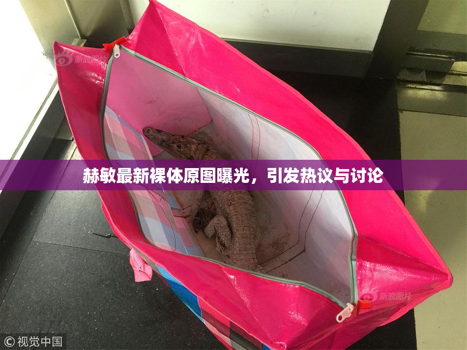 赫敏最新裸体原图曝光，引发热议与讨论