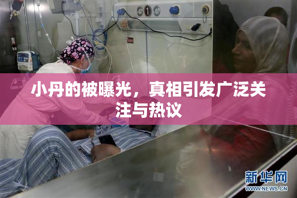 小丹的被曝光，真相引发广泛关注与热议