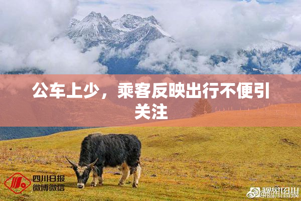 公车上少，乘客反映出行不便引关注