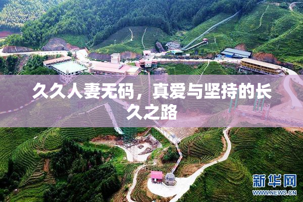久久人妻无码，真爱与坚持的长久之路