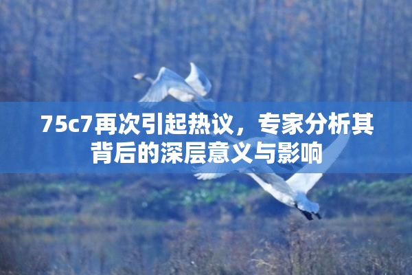 75c7再次引起热议，专家分析其背后的深层意义与影响