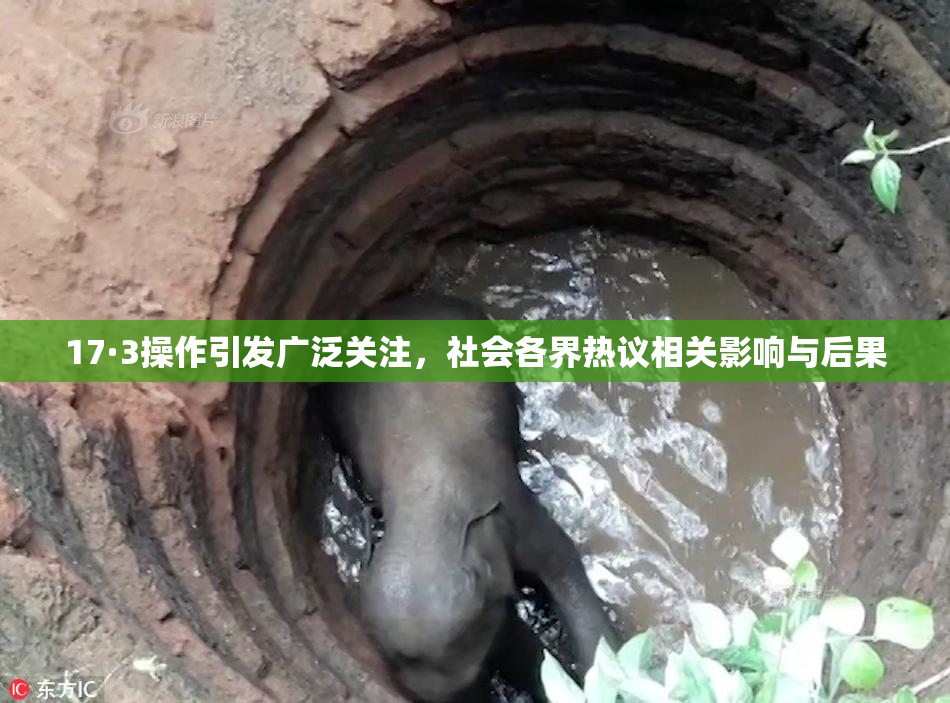 17·3操作引发广泛关注，社会各界热议相关影响与后果