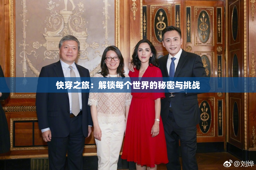 快穿之旅：解锁每个世界的秘密与挑战