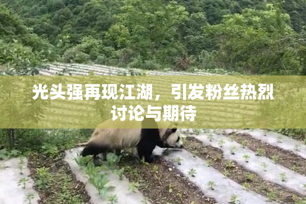 光头强再现江湖，引发粉丝热烈讨论与期待