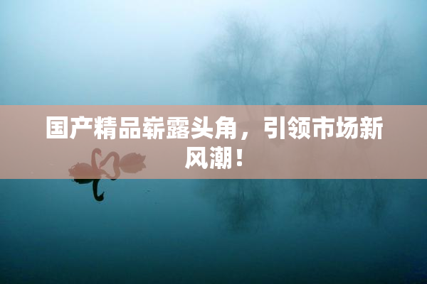 国产精品崭露头角，引领市场新风潮！