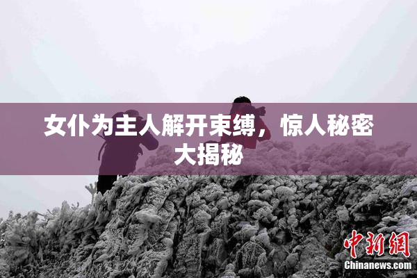 女仆为主人解开束缚，惊人秘密大揭秘