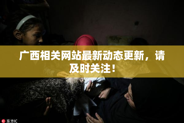 广西相关网站最新动态更新，请及时关注！