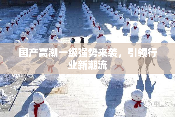 国产高潮一级强势来袭，引领行业新潮流