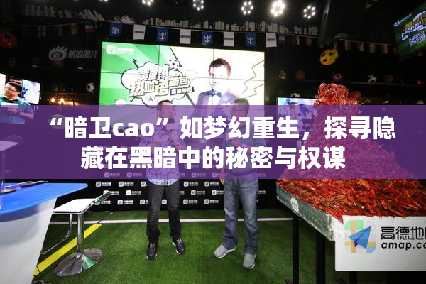 “暗卫cao”如梦幻重生，探寻隐藏在黑暗中的秘密与权谋