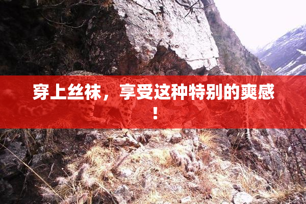 穿上丝袜，享受这种特别的爽感！